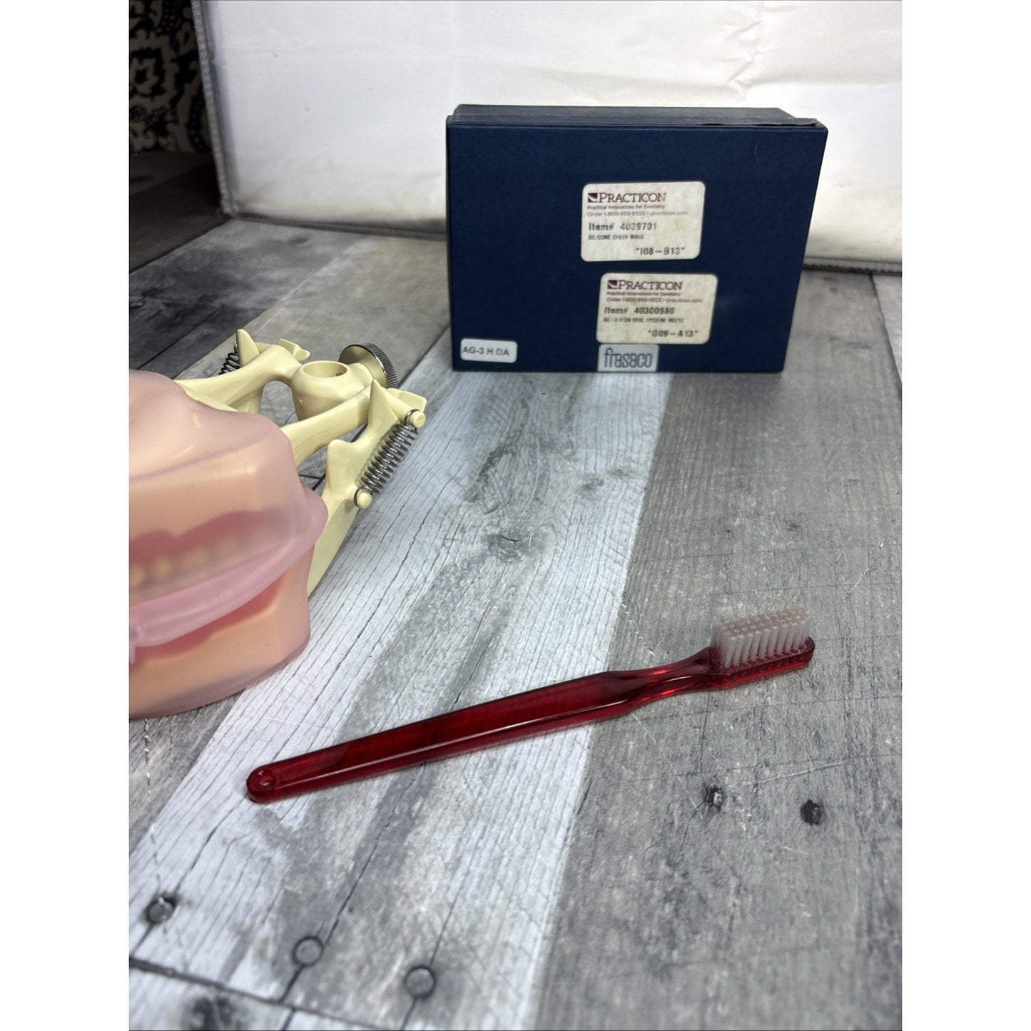 Frasaco AG3 Type Dental Typodont Model 32PC Teeth Restorative Removable Screw-in