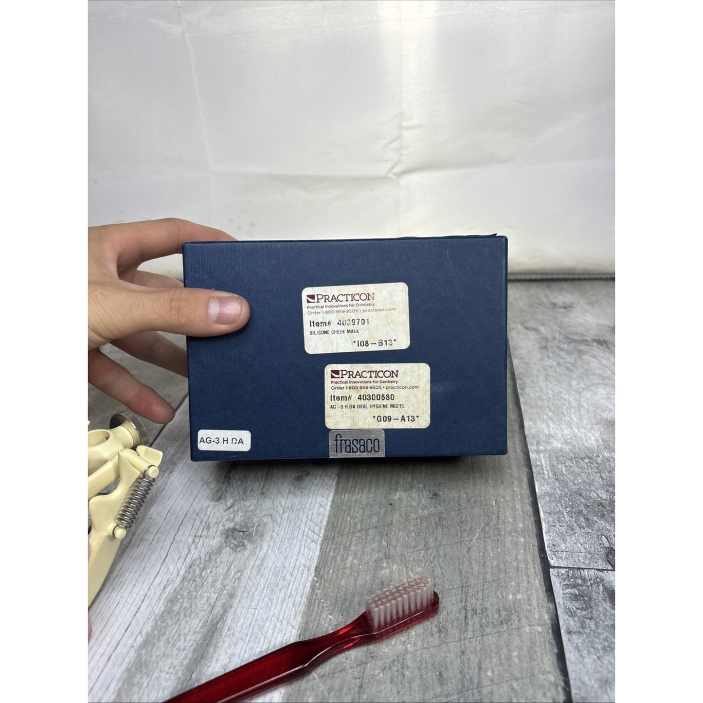 Frasaco AG3 Type Dental Typodont Model 32PC Teeth Restorative Removable Screw-in