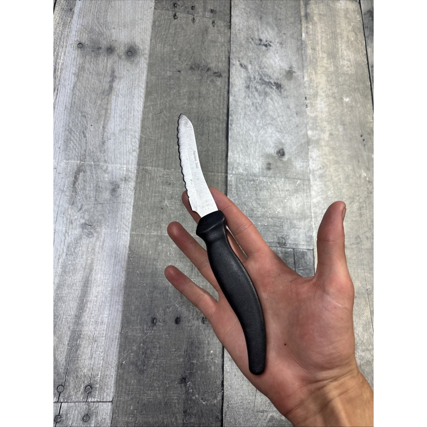 Miracle Blade III Stainless Steel Serrated Steak Knife 4"