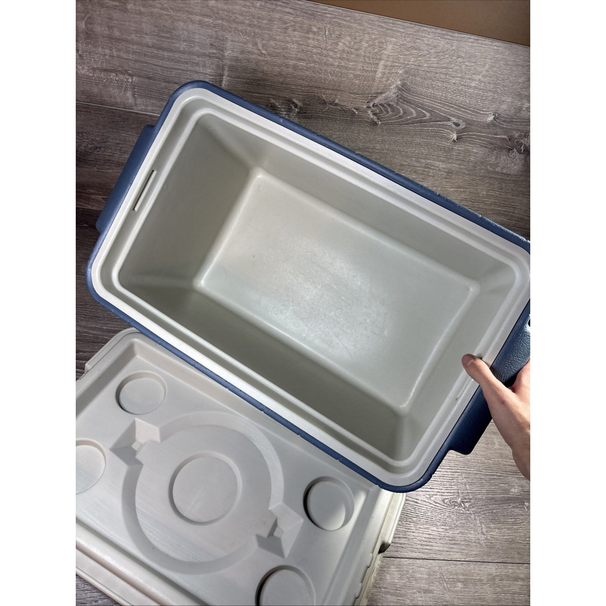 Vtg 1987 Coleman Polylite 34 Qt Cooler Blue/White Ice Chest Model 5281 Clean