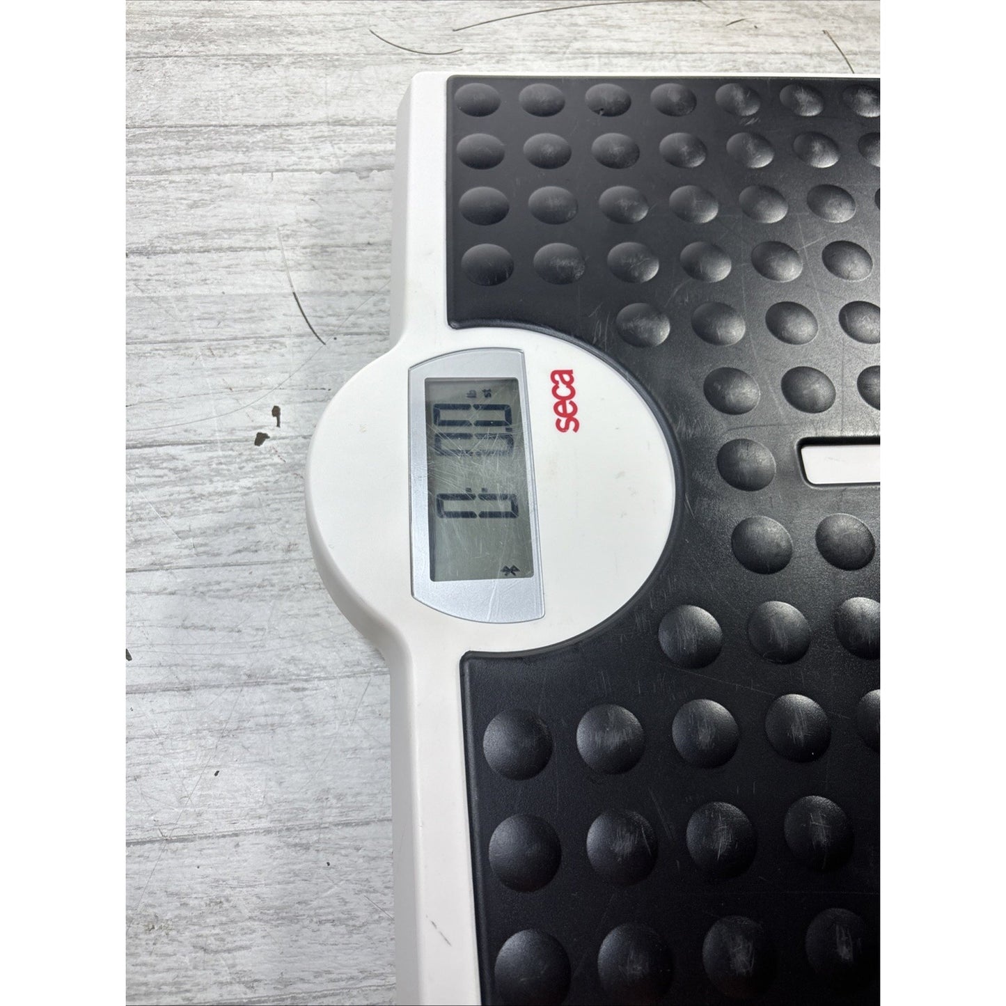 Seca 813 Robusta Digital Flat Scale 440 lb Capacity – Extra Wide Platform Works